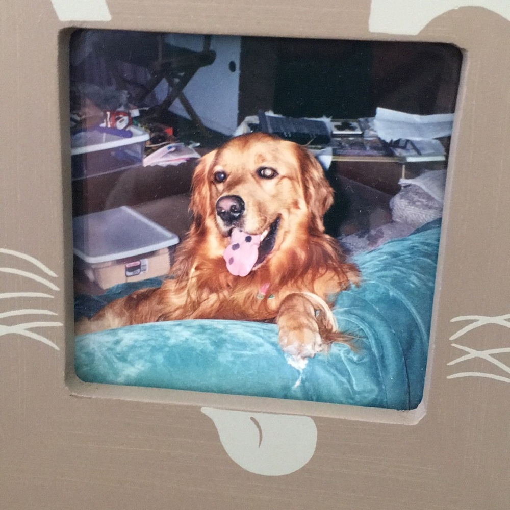 Meet your Posher, Gabriella